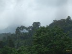 Watch the clouds breeze past you at Wayanad