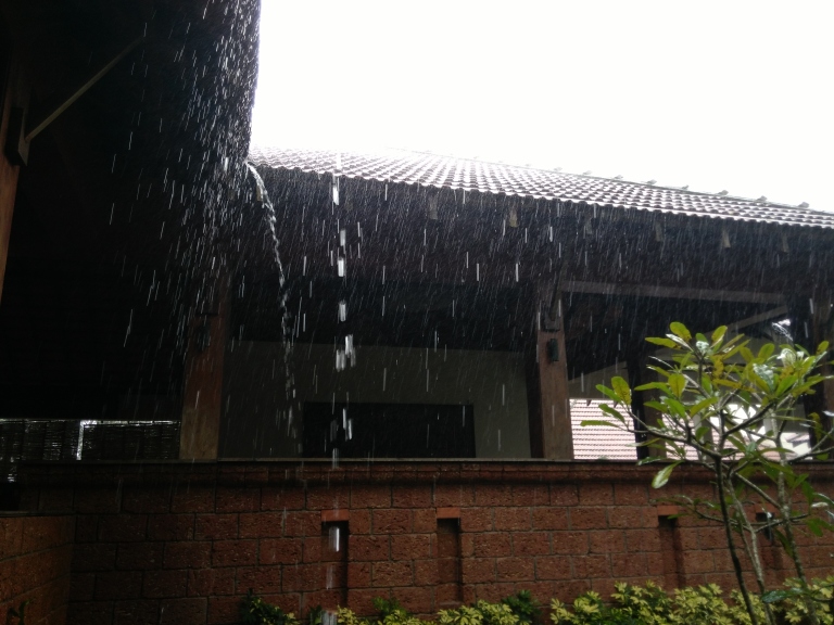 Monsoon magic at Wayanad